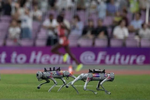 1697077693206914.png 图片1_副本.png